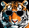 Tiger with Sunglasses